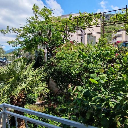 Apartmani Famelja Jovanovic Sveti Stefan Værelse billede