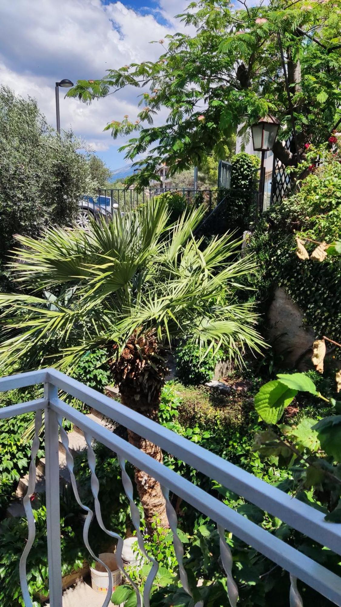 Apartmani Famelja Jovanovic Sveti Stefan Værelse billede