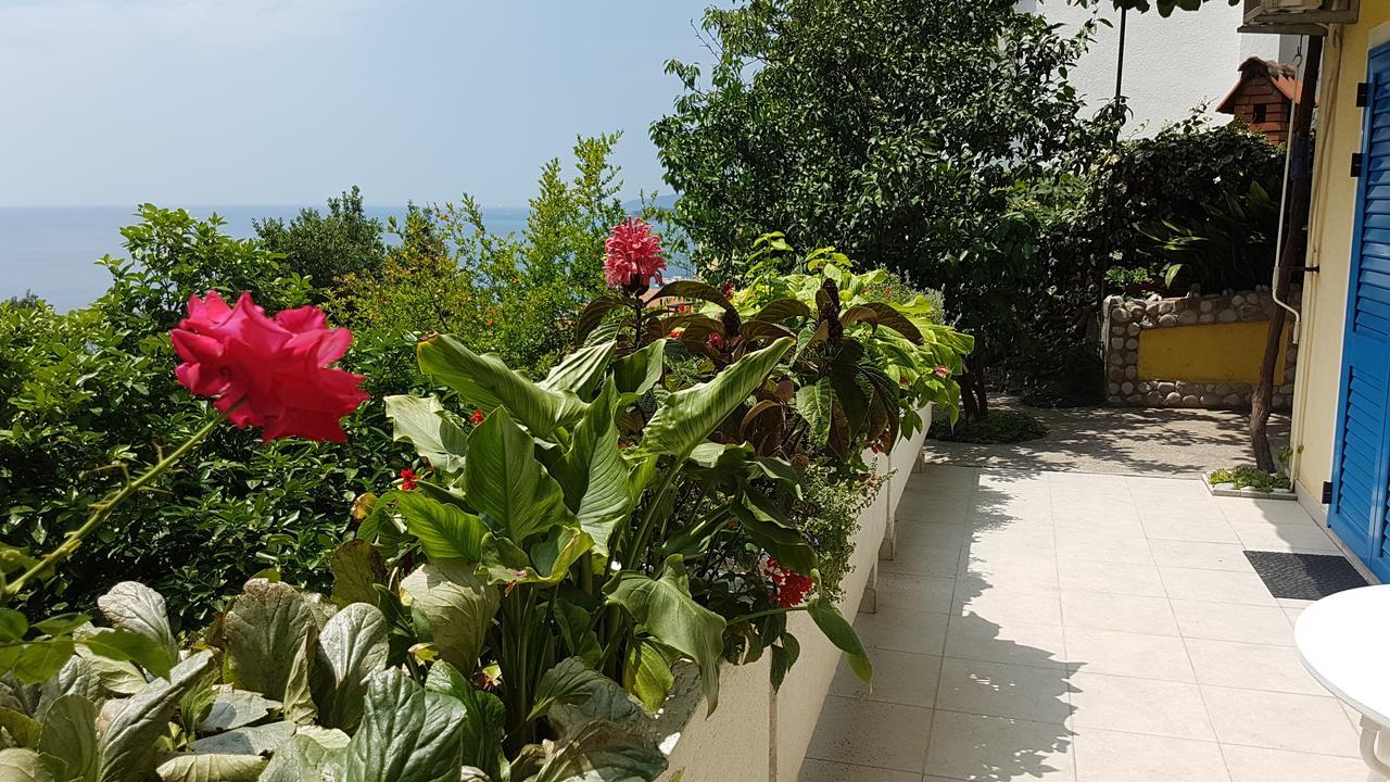 Apartmani Famelja Jovanovic Sveti Stefan Eksteriør billede